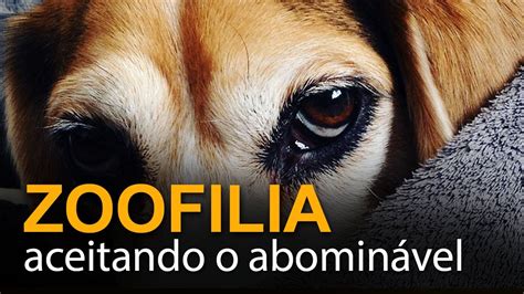 videos de zoofolia|Vídeos novos .